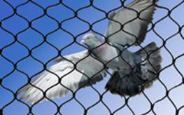 Description: bird netting